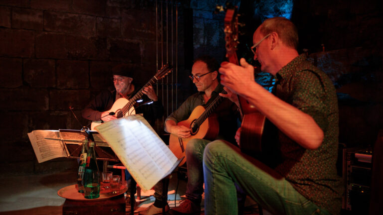 Die Musiker der Band Triorio bei einem Auftritt